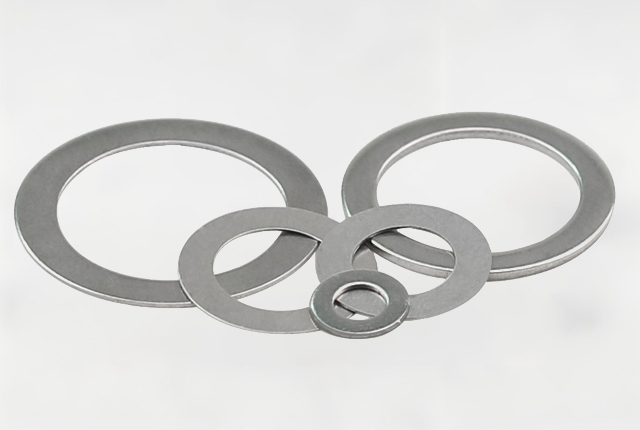 Stainless steel gasket